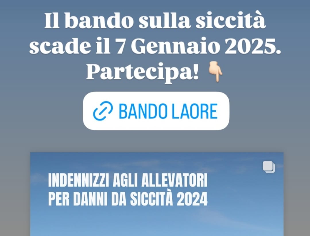 Avviso agli imprenditori agricoli presentazione domande indennizzo danni da "piogge persistenti"  dicembre 2020 – febbraio 2021 Scadenza ore 12:00 del 7 gennaio 2025